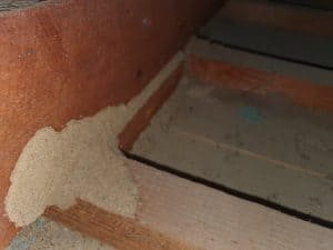 Termite evidence missed by another inspector in roof void