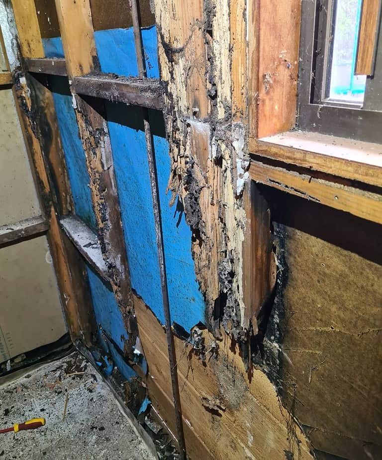bathroom detroyed by termites