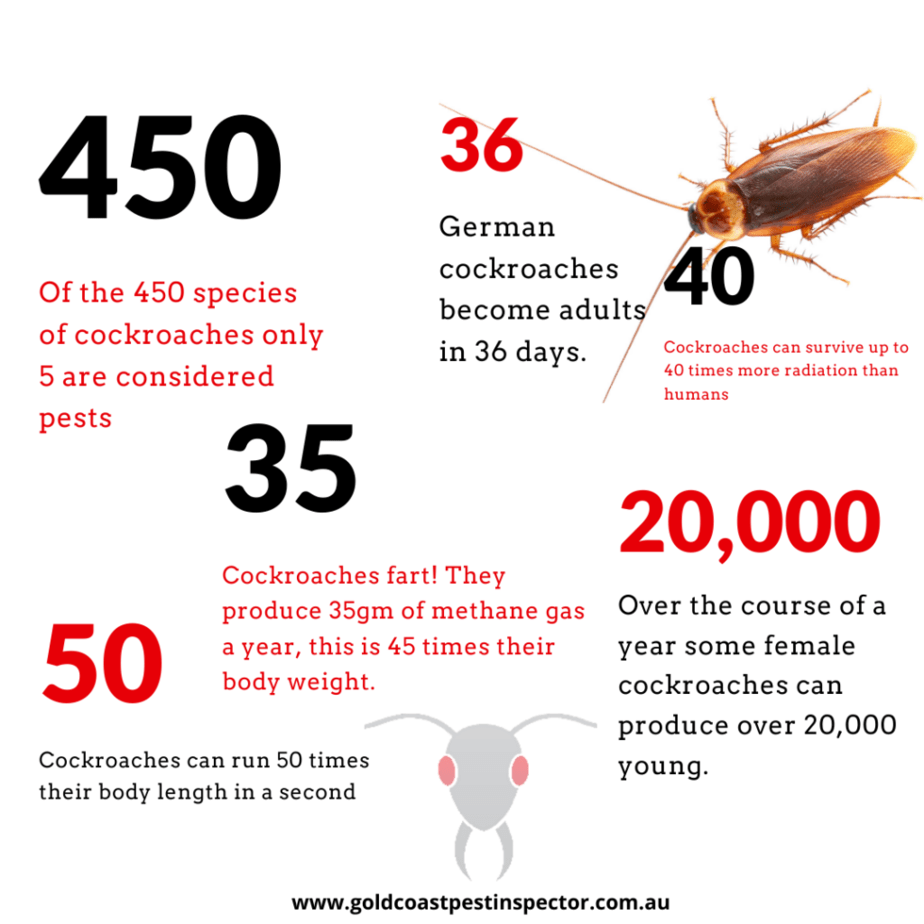 Pest Facts