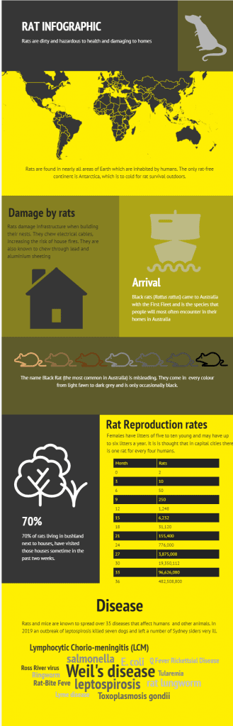 Rat info graphic