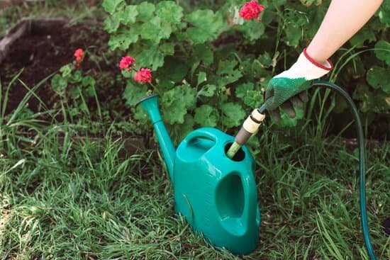 Pest Control Tip 4 Minimise mosquitoes by emptying watering cans