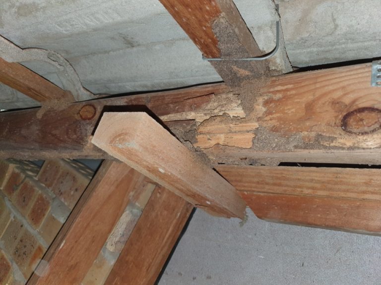 Missed termite damage in the roof void