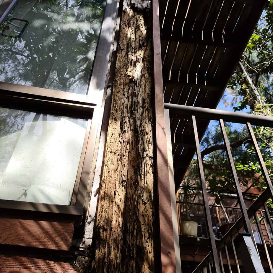 structural damage to pole that supports house