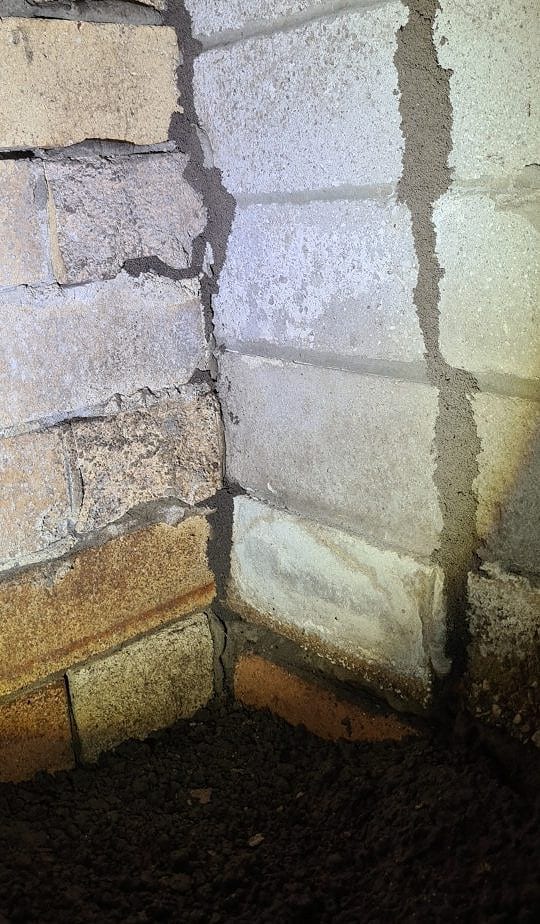 Termite leads climbing brickwork