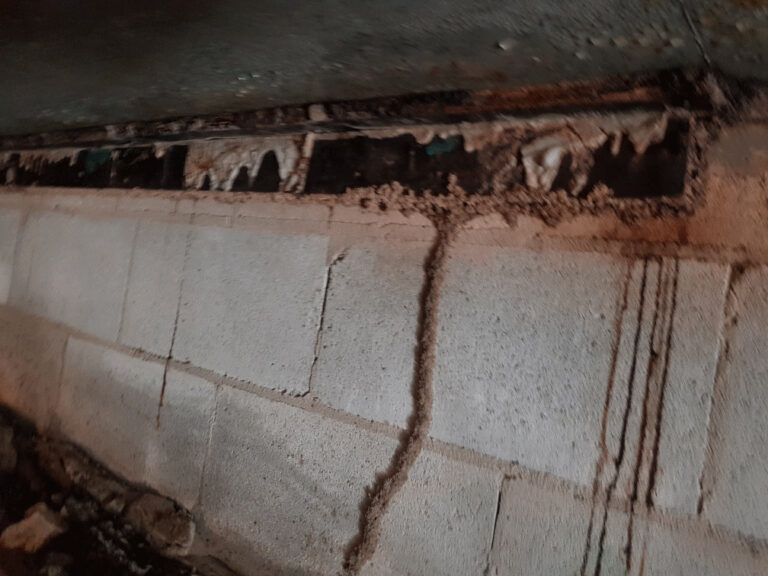 termite lead to brickword