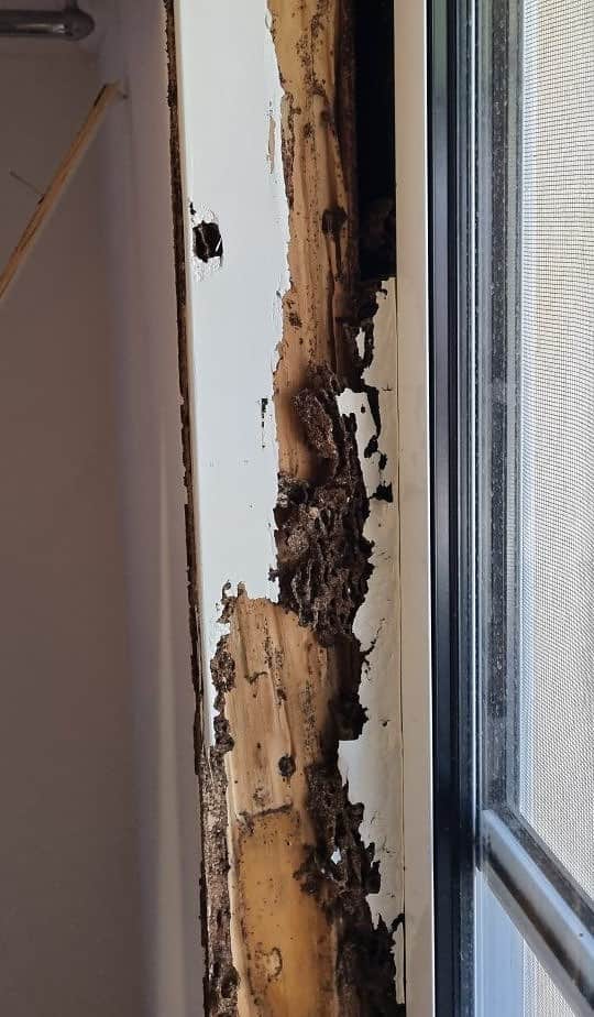 window frame with destroyed by termites