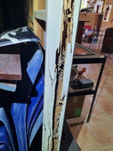 Damage to internal wall by termites