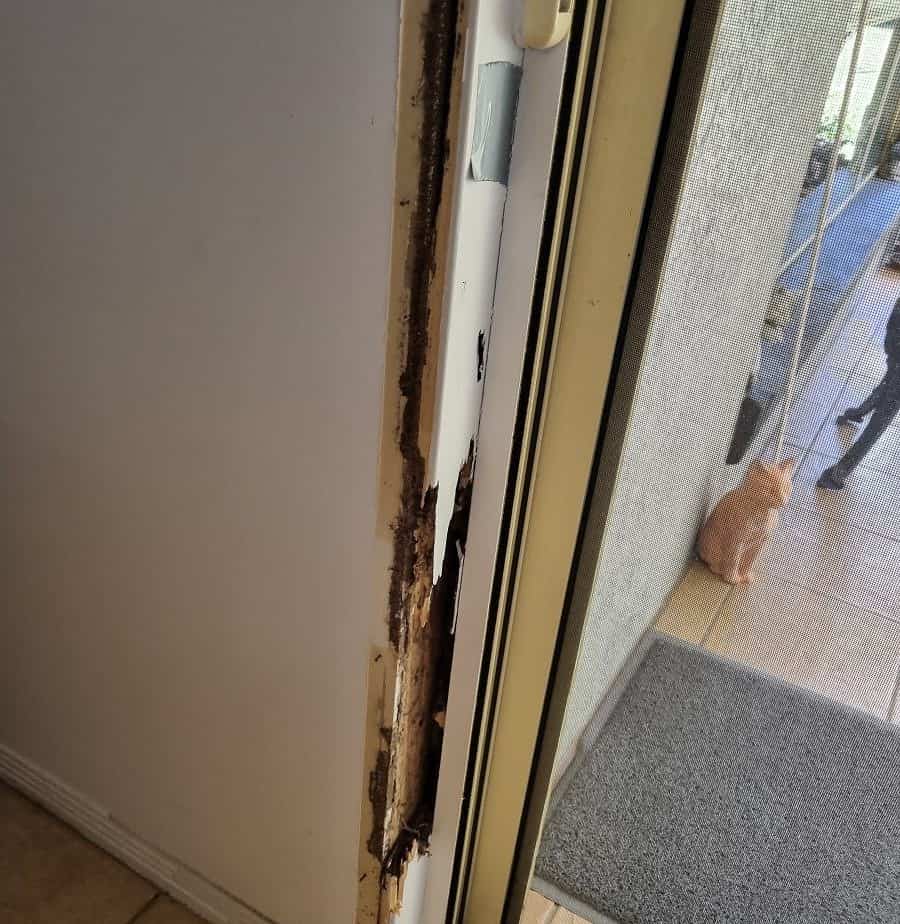 termite damage to a door frame