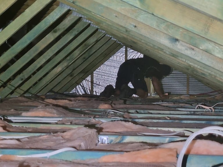 A good inspector will check the roof space