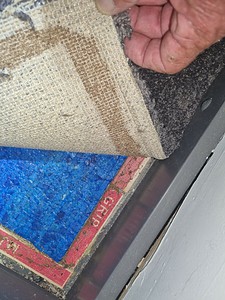 Termite evidence found under carpet
