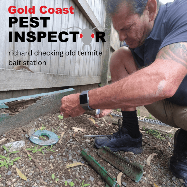 Richard checking an Trelona Advanced Termite Baiting System bait station