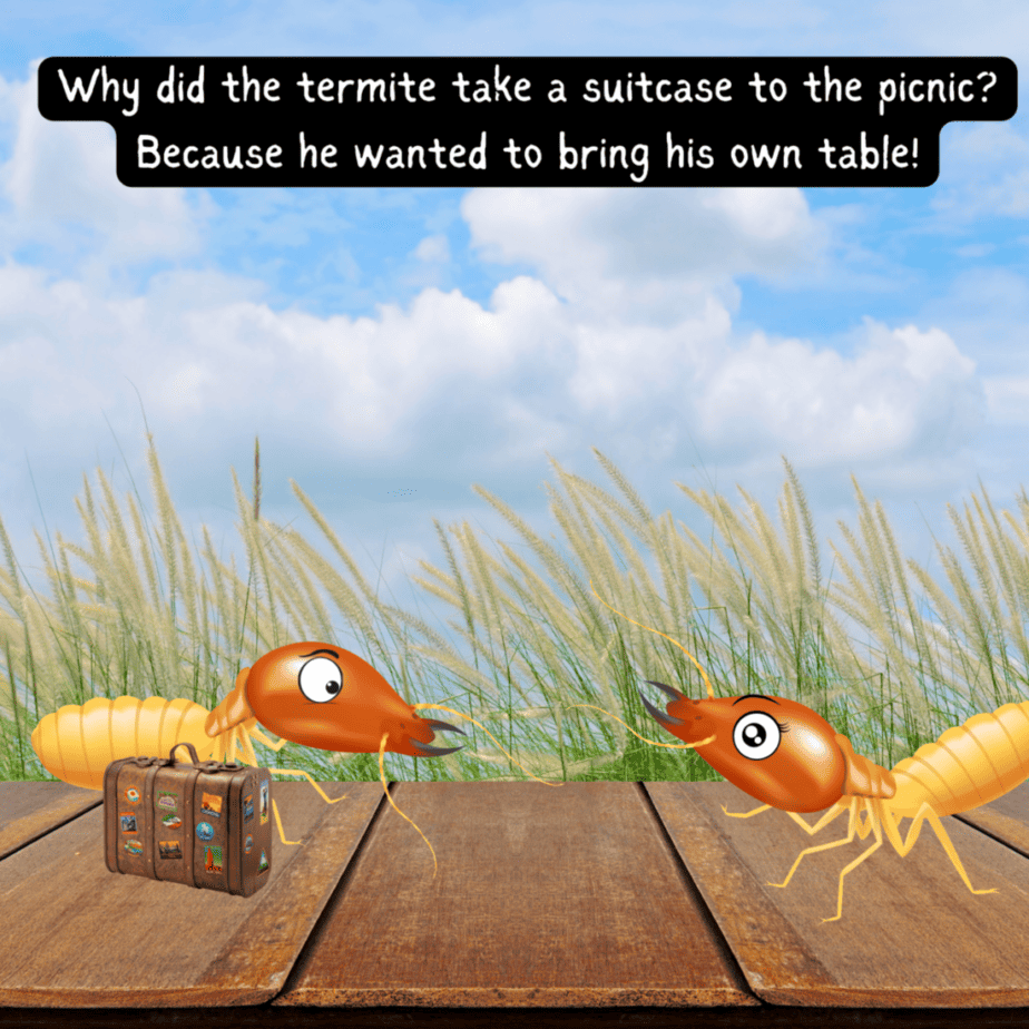 Termite meme about a termite eating a table