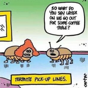 Termite pick up lines