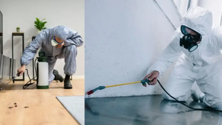 Pest Inspection in Gold Coast, Queensland: A Comprehensive Guide