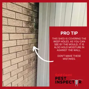 shed covers weep holes which holds in moisture, ideal for termites
